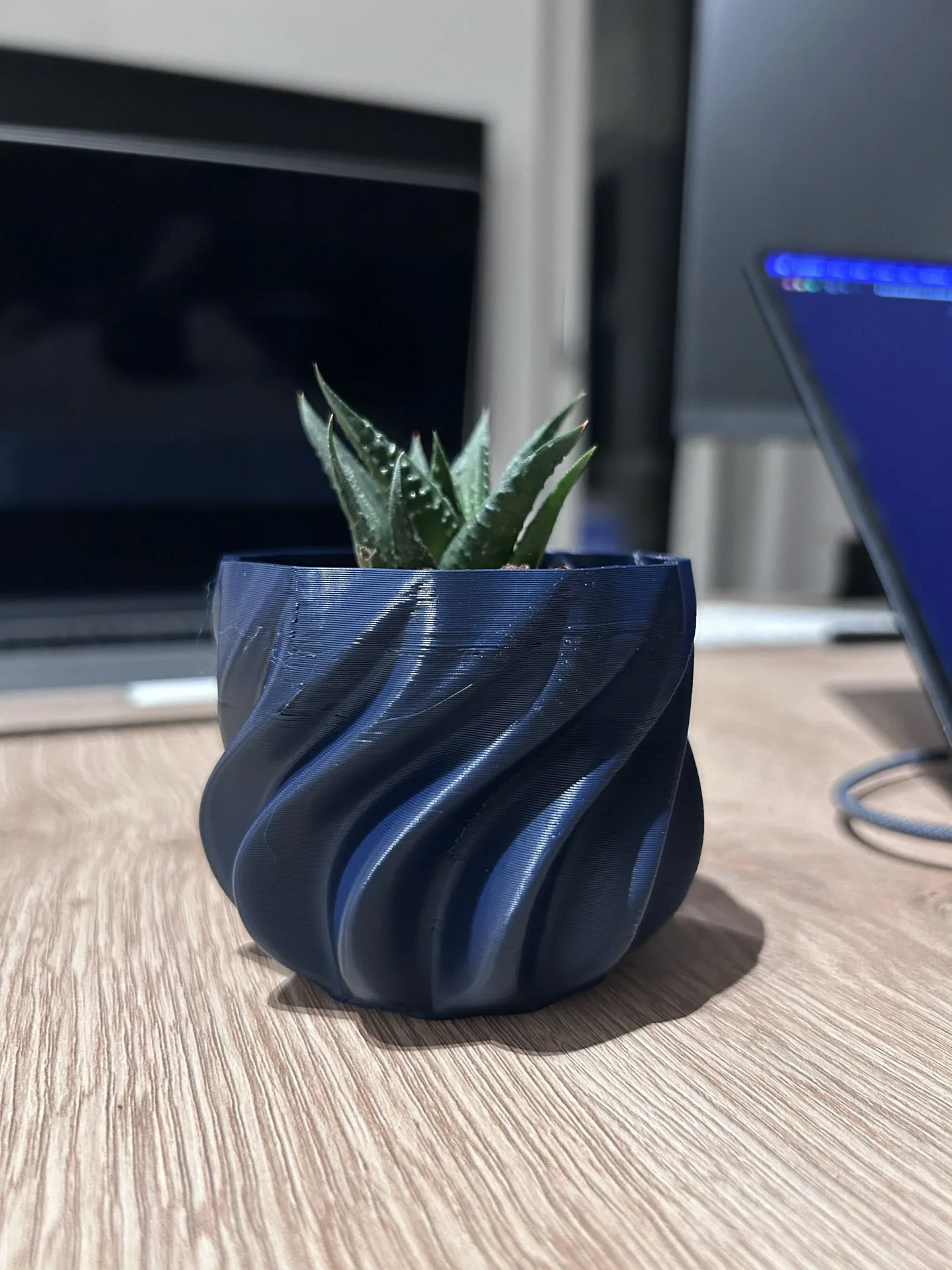 The completed navy ribbed planter standing on a wooden desk with the plant inside.