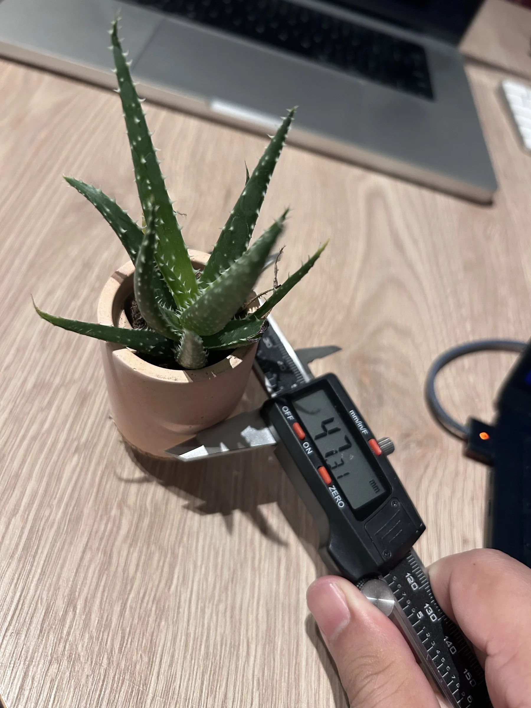 The caliper measuring across the peach-coloured pot, with its digital display reading 47.31 millimetres.